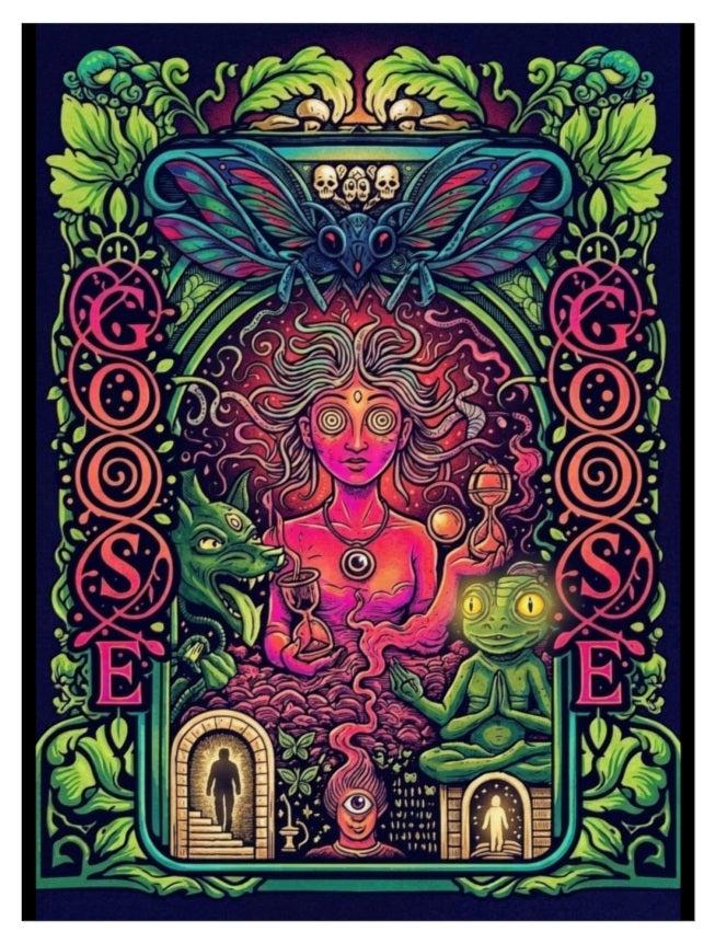 Goose the Band - Psychedelic Medusa Art poster | Fine Art Poster, Neon Mythical Wall Decor